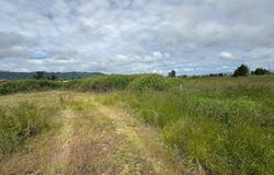 2 Springer ST, Cathlamet, WA 98612