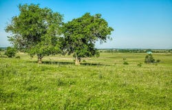 5005 Fuchs Road - Lot 5, Burton, TX 77835