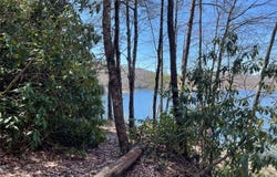 Vess Owen Road, Tuckasegee, NC 28783