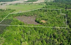Tbd County Road 1143, Daingerfield, TX 75638