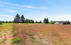 1430 E 12TH St, Deer Park, WA 99006