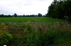 TBD Garfield Road, Saginaw, MI 48603
