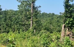 131 Madison CR 410, Fredericktown, MO 63645
