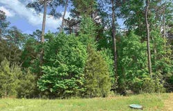 542 Golden Rod Court, Columbia, SC 29016-7646
