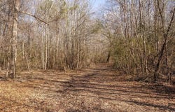 Tbd Stevens Road, Marietta, TX 75566