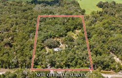 290 NE 789th St, Old Town, FL 32680