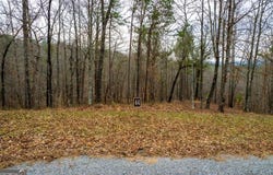 Lot 44 Bucktail, Talking Rock, GA 30175