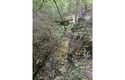 Holly Branch Run Road, Magnolia, KY 42757