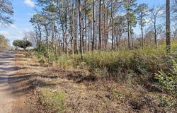 2804 Carroll Ave, Kilgore, TX 75662