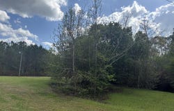 45 Scott Murphy Lane, Hamilton, GA 31811
