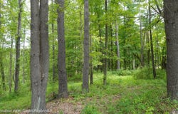 1634 Route 213, Esopus, NY 12429