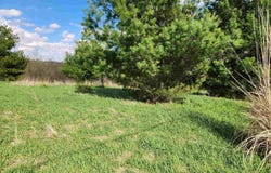 376 E TOWNHALL Road, Metamora, IL 61548