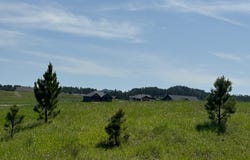 Lot 28 Park Avenue, Custer, SD 57730