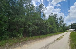 NE 40TH Lane, WILLISTON, FL 32696