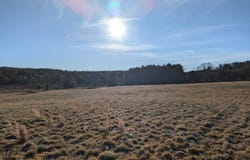 Firehouse Road, Willis, VA 24380