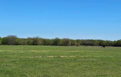 0 Hedge Rd, Coleman, OK 73432