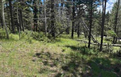 Lot 44 Calle de los Indios, Angel Fire, NM 87710