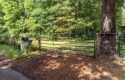1738 White Cedar Road, Big Sandy, TX 75755
