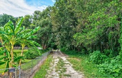 19270 NW 53RD COURT, REDDICK, FL 32686