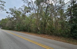 SW 6TH Avenue, WILLISTON, FL 32696