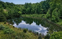 486 Oneal Rd, Livingston, TN 38570