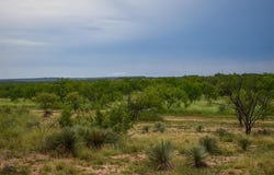 1025 FM 765, Lohn, TX 76852