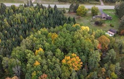 N16340 STATE HIGHWAY 13, Butternut, WI 54514