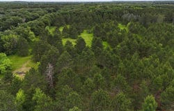 Tbd Hillton Road, Little Falls Twp, MN 56345