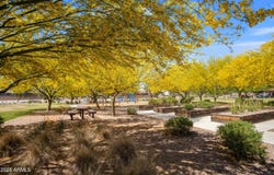 6515 E VUELTA TIERRA BLANCA --, Tucson, AZ 85756