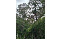 0 Jordon Grove Rd, Dozier, AL 36028