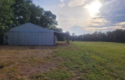 0 County Rd 317, Woodville, AL 35776