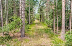 474 E Cabin Lake Road, West Branch, MI 48661