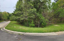 Lot 11 Timber Hills, El Dorado, AR 71730