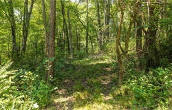 Hunter Road, Danville, OH 43014