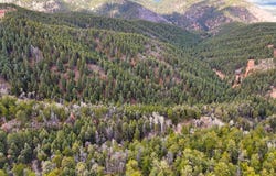 13499 S Firedog way, Larkspur, CO 80118