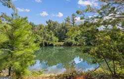 8694 Spanish Creek, Folkston, GA 31537