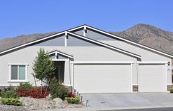 405 Schell Creek Drive, Dayton, NV 89403