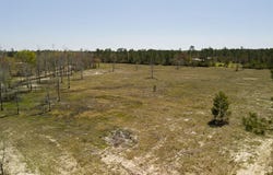 OSCEOLA Road lot: 8, Glen St. Mary, FL 32040