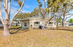 317 LAKEVIEW DRIVE, OSTEEN, FL 32764