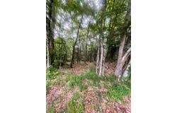 Lot 15 Colebrook River Rd, Tolland, MA 01034