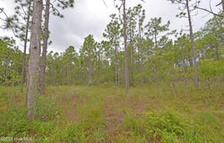 L-272 E Boiling Spring Road, Southport, NC 28461