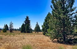 9 Haven CT, Goldendale, WA 98620