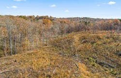 00 Co Rd 1067, Vinemont, AL 35179