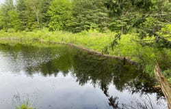 0 White Road, Parish, NY 13131