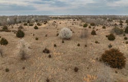 TBD Willow St, Talala, OK 74080