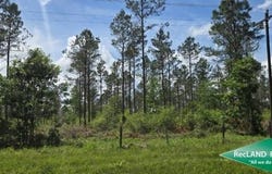 FM 844, Huntington, TX 75949