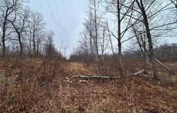 Tbd Fawn Trail NE, Longville, MN 56655
