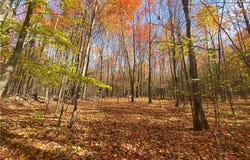 535 Scutt Mtn. Road, Stamford, NY 13739