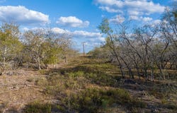 County Road 386, TX 11111