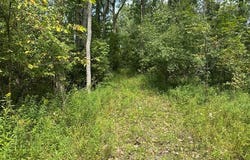 Wells Road, Wells Twp, MI 48723